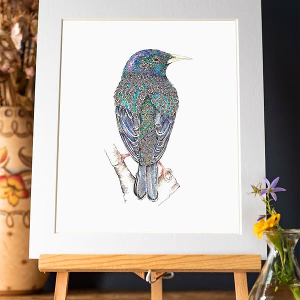 Limited Edition Stunning hand drawn Starling Art Print 