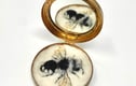 FIFTY BEES 5 - bees 201 to 250 - 2022 at ACEarts in Somerton 