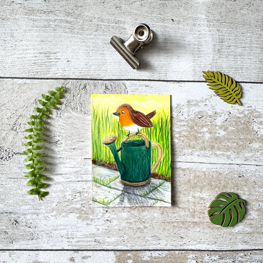 Robin bird Miniature Original ACEO painting - One of a kind