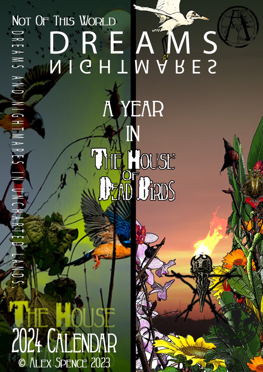 A Year In The House of Dead Birds 2024
