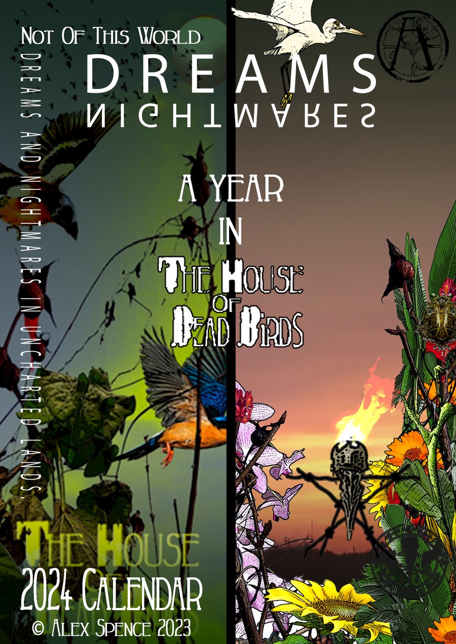 A Year In The House of Dead Birds 2024 or Another Year 2025 Calendar