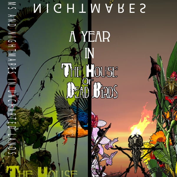 A Year In The House of Dead Birds 2024