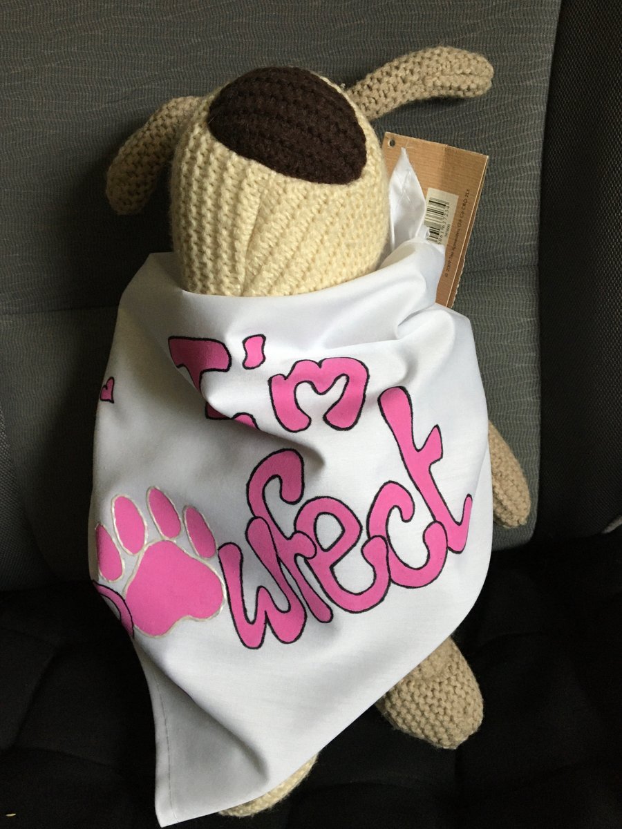 I’M PAWFECT - DOG BANDANA