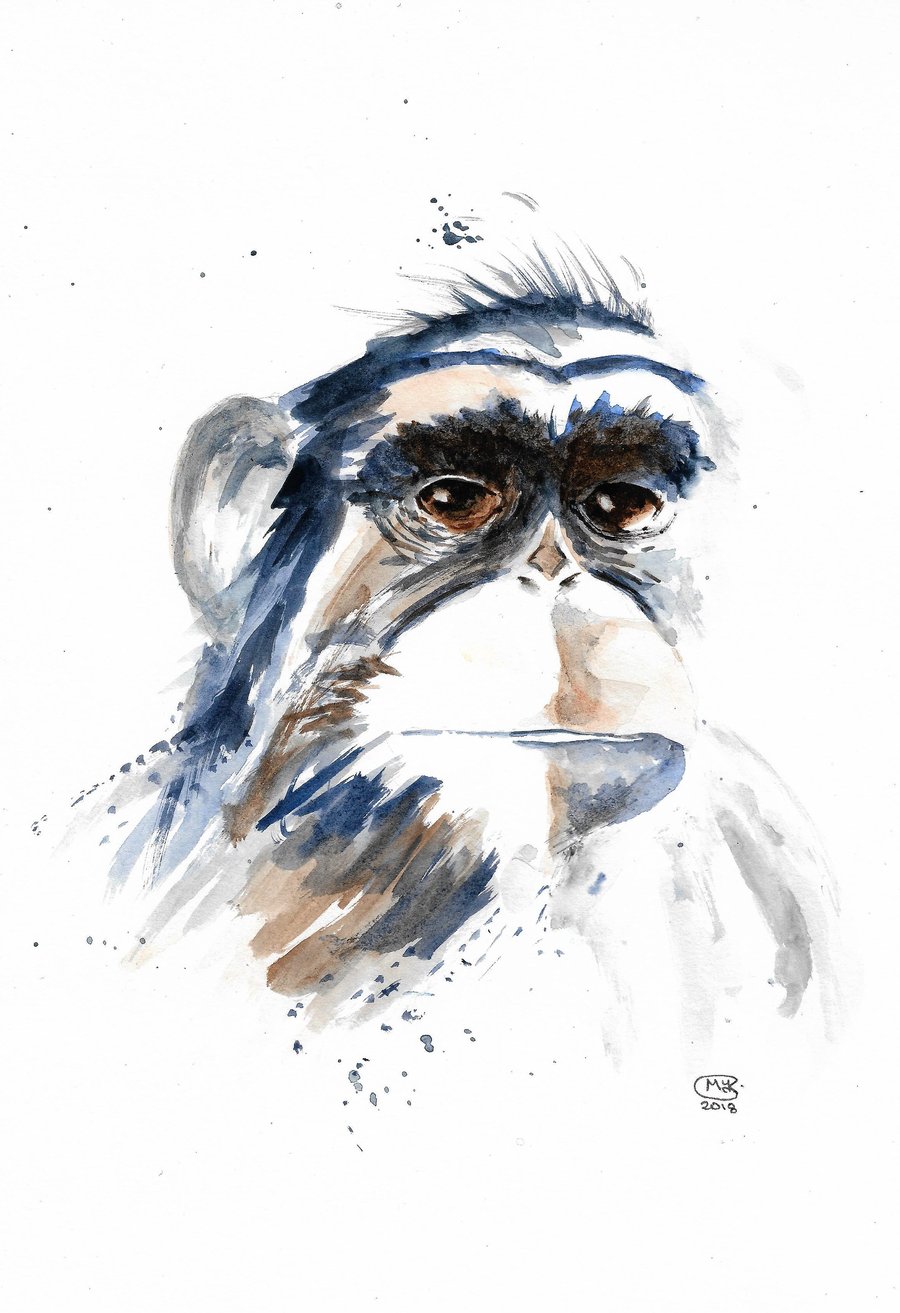 Chimp with attitude. Original watercolour painting