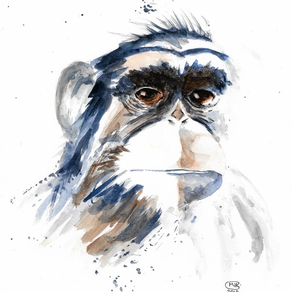 Chimp with attitude. Original watercolour painting