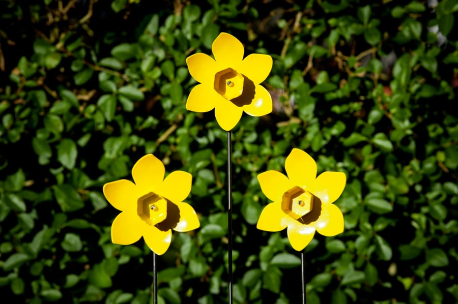 Yellow Daffodil Flower Garden Ornament, Indoor Decoration, Welsh gift