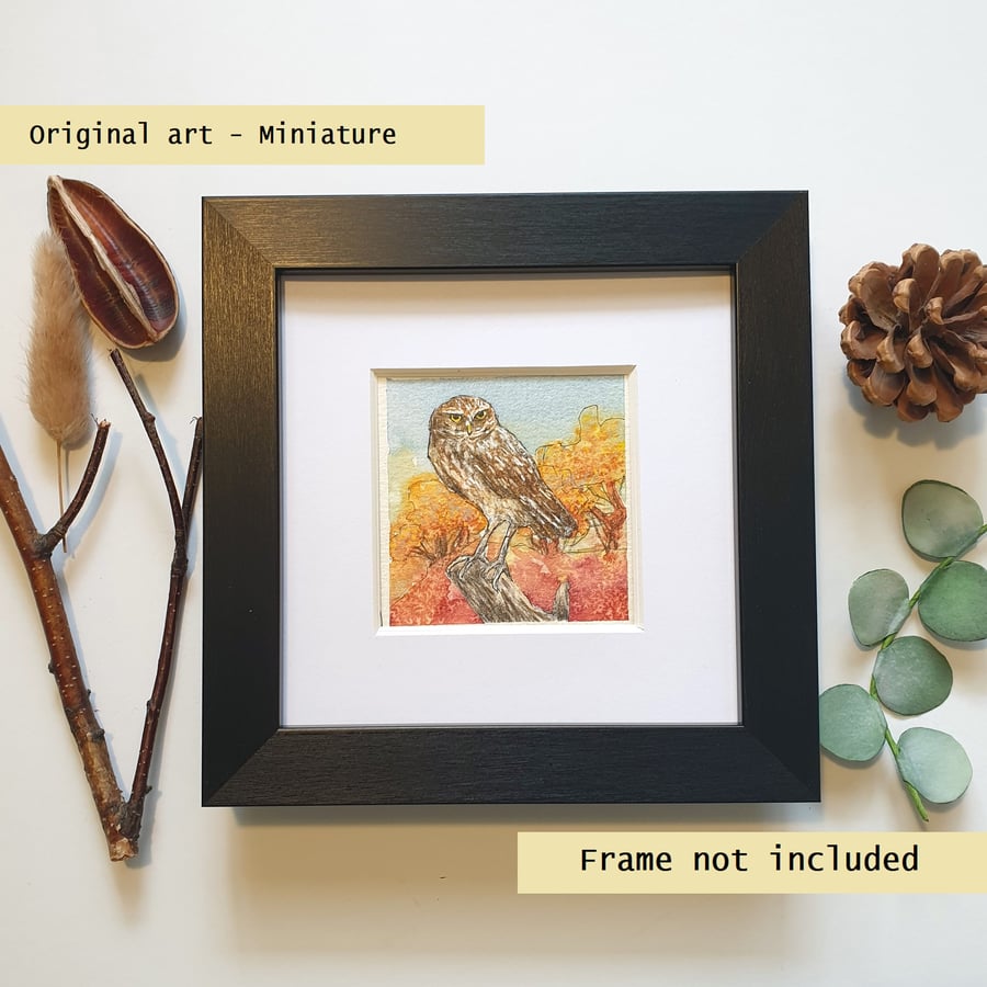 Little burrowing owl original art miniature, small bird painting, artwork