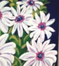 'African Daisy' original painting.   - Image 6