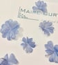 Metallic Silk organza Silver Blue cherry blossom flowers - Image 3