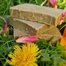 Power of viviparous soap, celandine, dandelion, neem oil