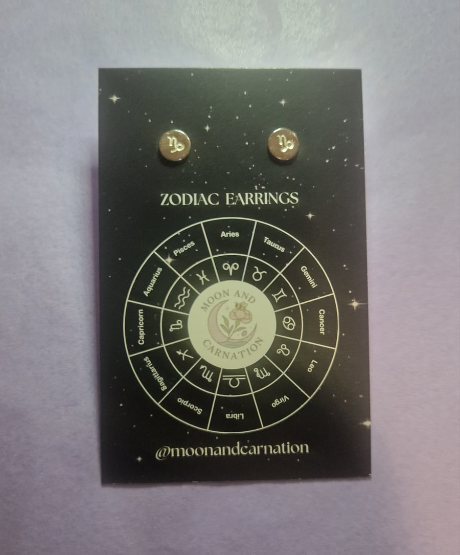 Dainty sterling silver Capricorn zodiac studs 
