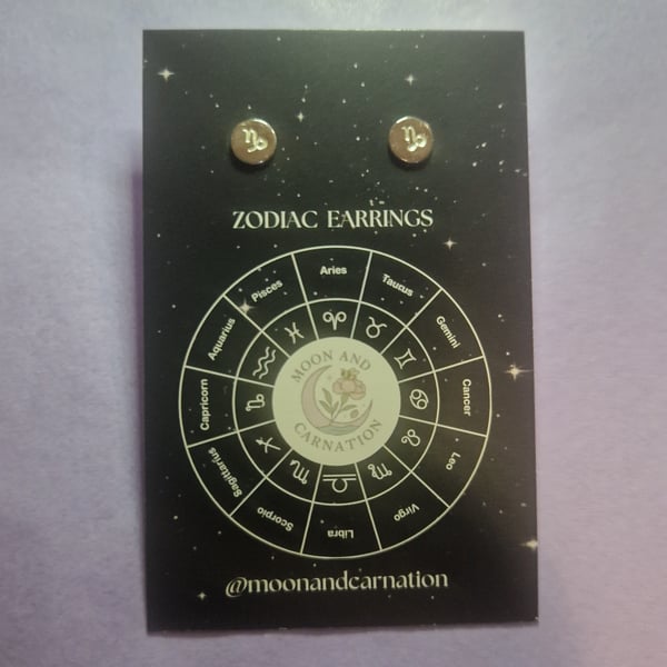 Dainty sterling silver Capricorn zodiac studs 