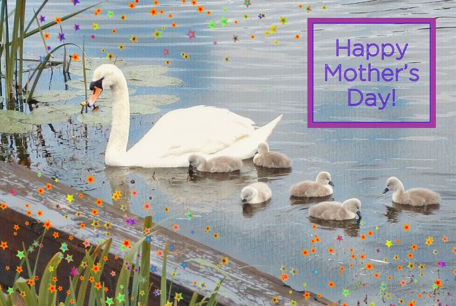 Happy Mother's Day Swan & Cygnets Art Card A5