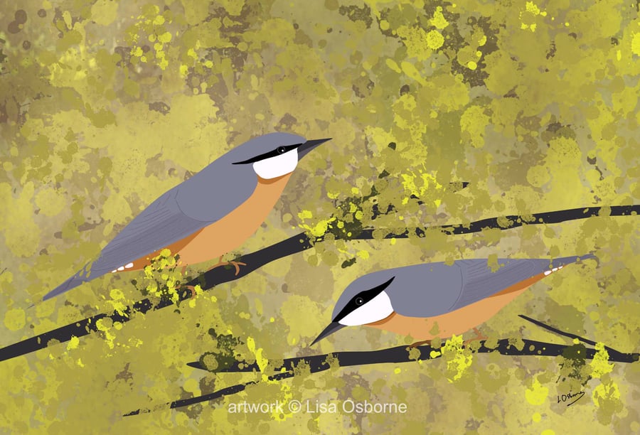 Nuthatches - bird art print - garden bird