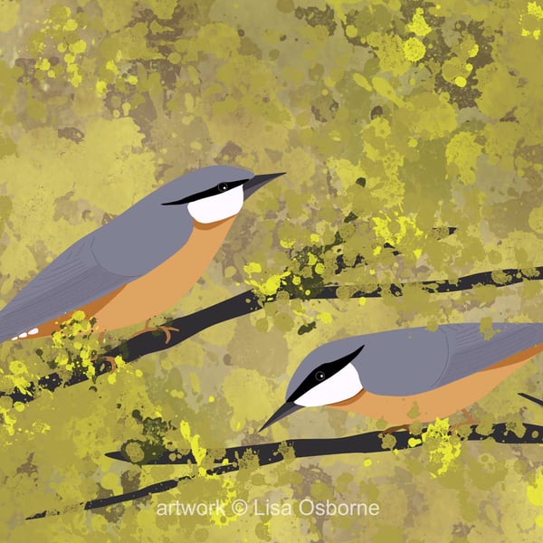 Nuthatches - bird art print - garden bird