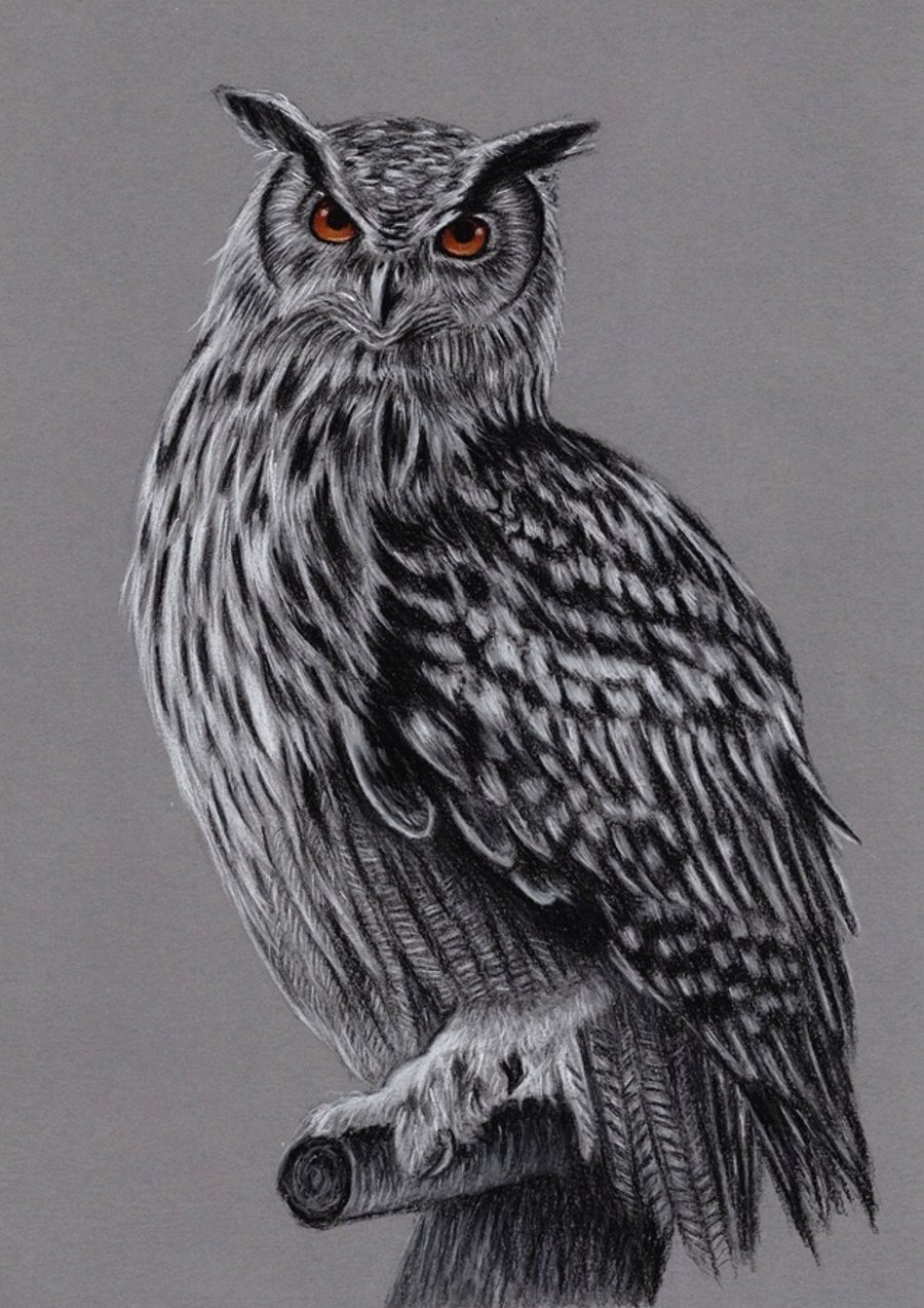 A4 Charcoal Drawing of an Owl