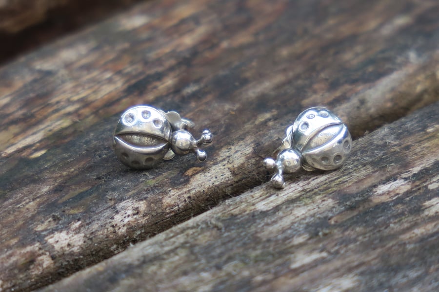 Ladybird Stud Earrings, Ladybird Studs, Ladybird Earrings, Silver Stud Earrings 
