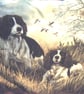 Two Springer Spaniels ready and waiting cushion  - Image 2