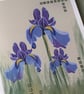 February Birth Flower Card, Iris, Birthday Card, Floral Greeting Cards, Botanica - Image 2