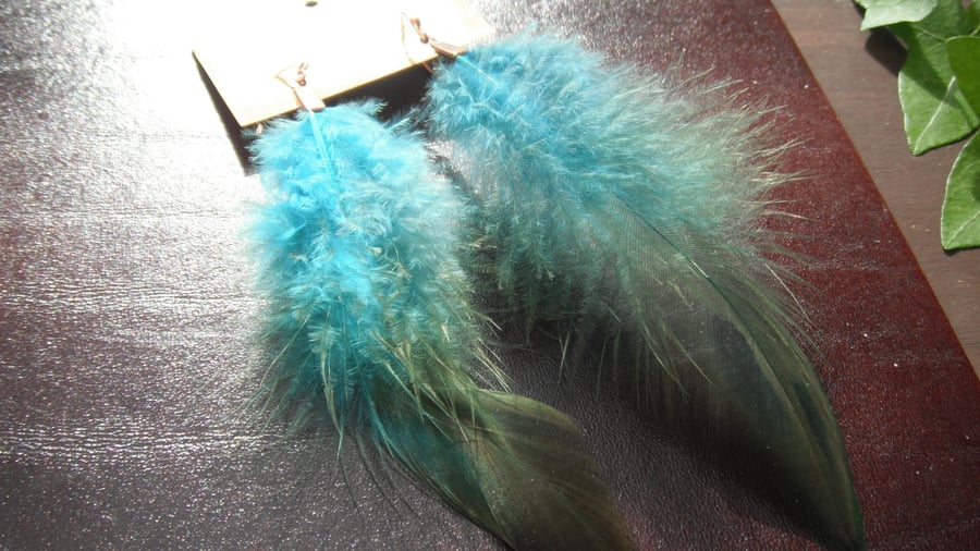 Turquoise Feather Earrings