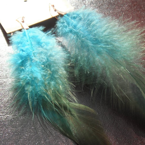 Turquoise Feather Earrings