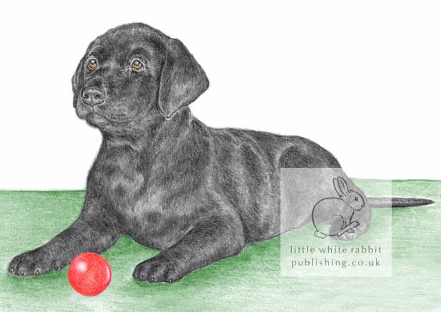 Nero the Black Labrador Puppy - Blank Card