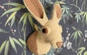 Other Woodland Animals 