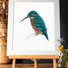 2 x Art Prints Offer (Kingfisher & Blue tit)
