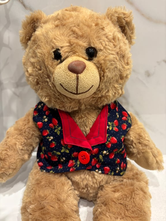 Teddy Navy Strawberry Teddy Waistcoat