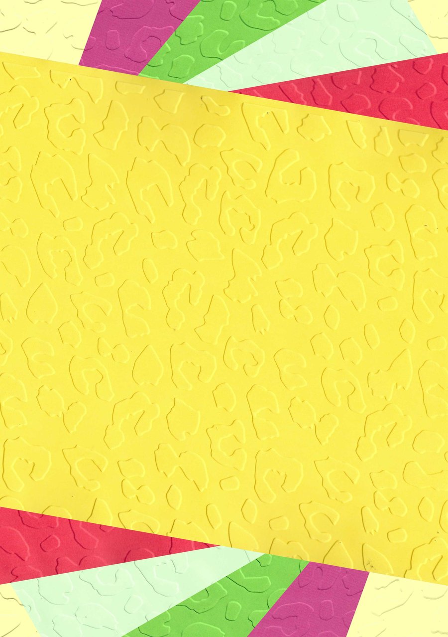 Embossed Card & Paper. 10 Sheets. A4. Assorted Colours. Animal Print (17)