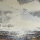 Geese flying to roost on a winters evening over Shalfleet flats