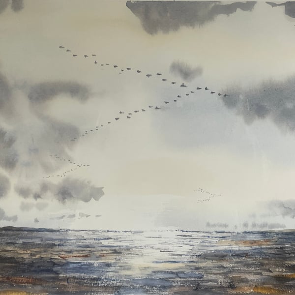 Geese flying to roost on a winters evening over Shalfleet flats