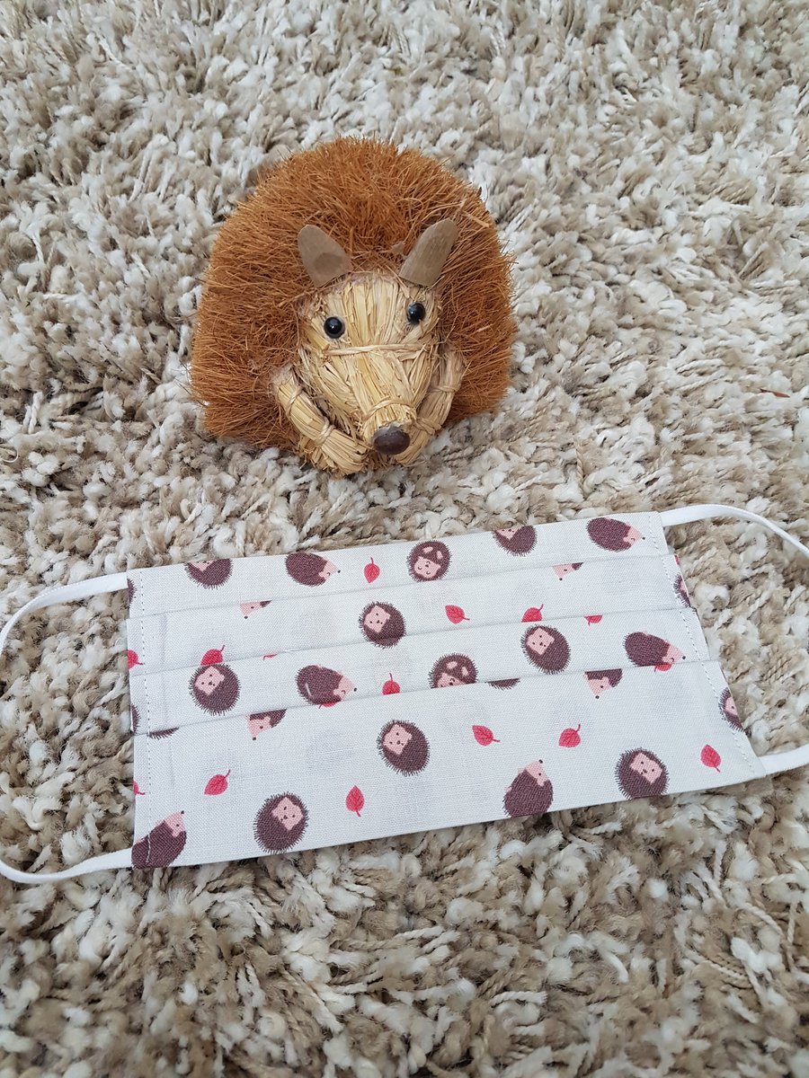 Small Adult or Teenager face covering – Hedgehog and red leaf print