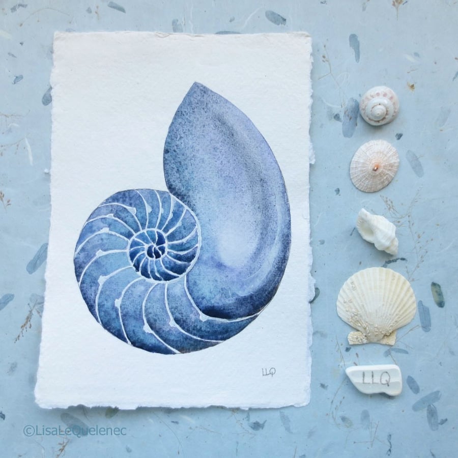 Sale Chambered nautilus original watercolour painting seaside coastal style art