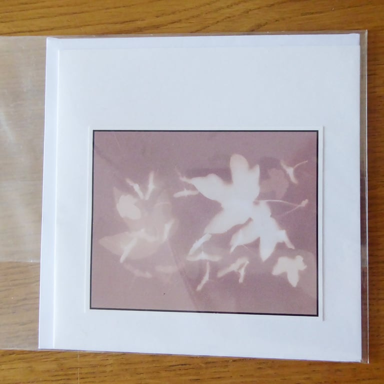 Leaves & Seeds Print from Original Photogram - Blank Greeting Card with Envelope