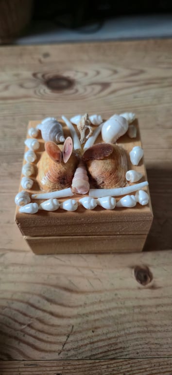 Small square shell box full of shells