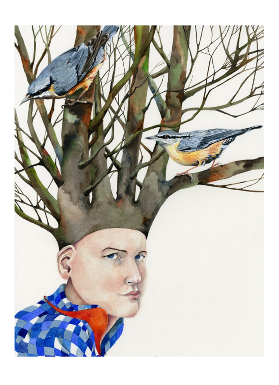 Nuthatch Head A4 Giclee print