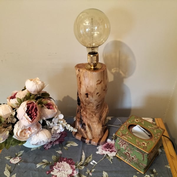 Gorgeous Table Lamp
