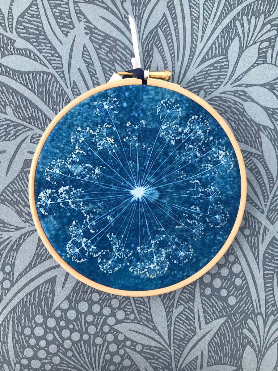  Original Art gift, Cyanotype Dill Flower in a Hoop.