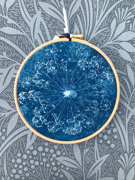  Original Art gift, Cyanotype Dill Flower in a Hoop.