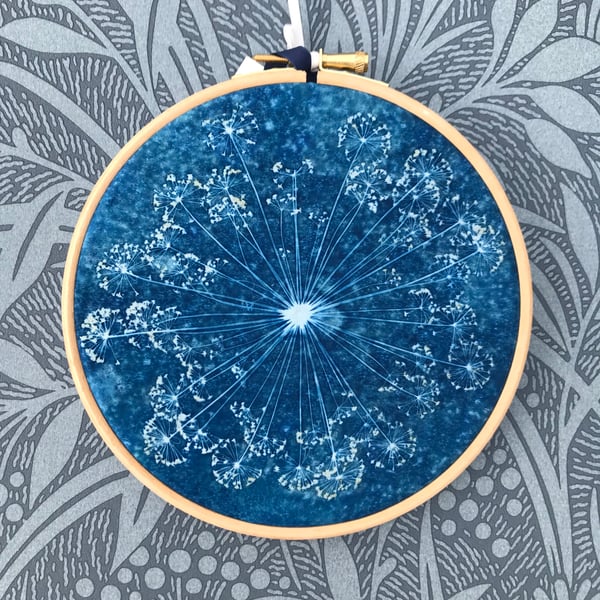  Original Art gift, Cyanotype Dill Flower in a Hoop.