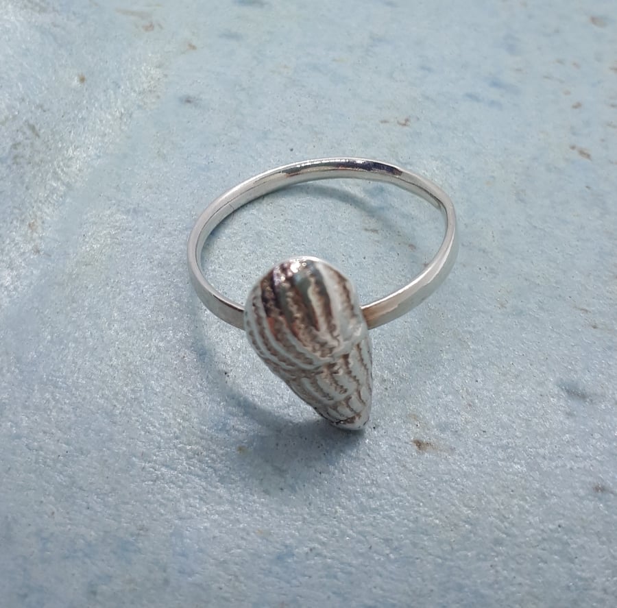 Fine silver shell ring