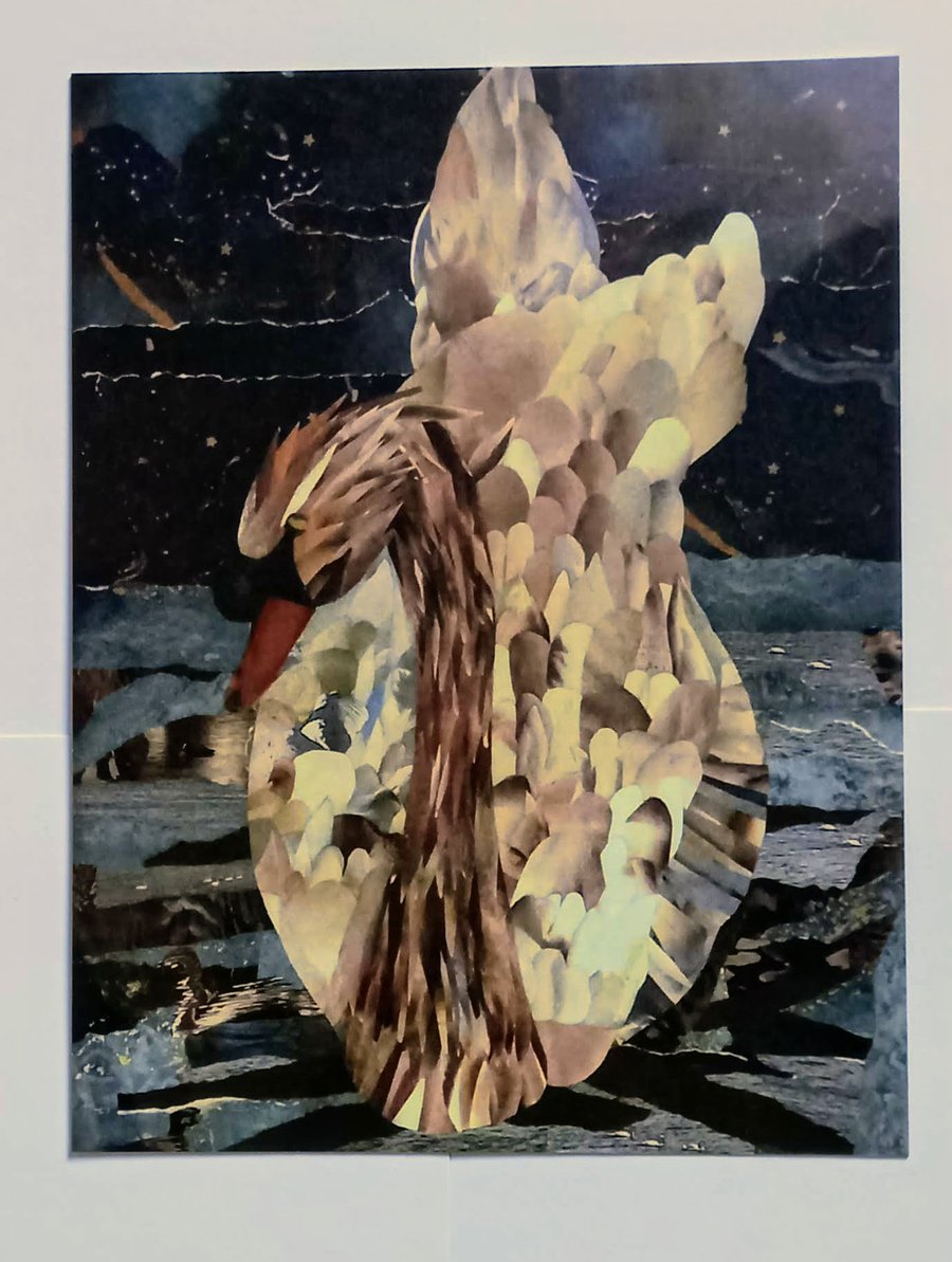 Swan Card 'Still Life'  A5 (matt finish)