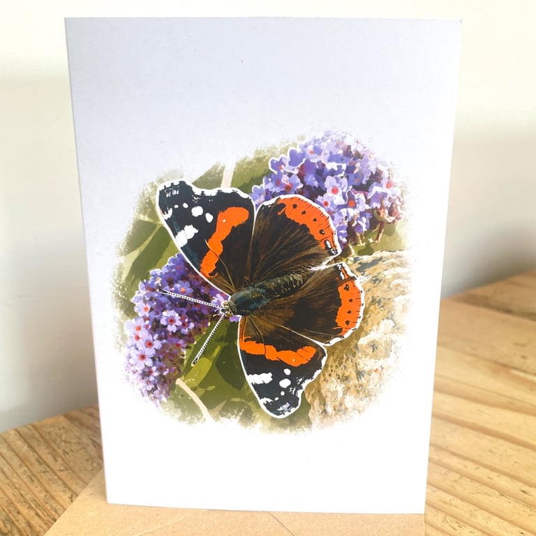 Blank Card A6 Portrait - Red Admiral