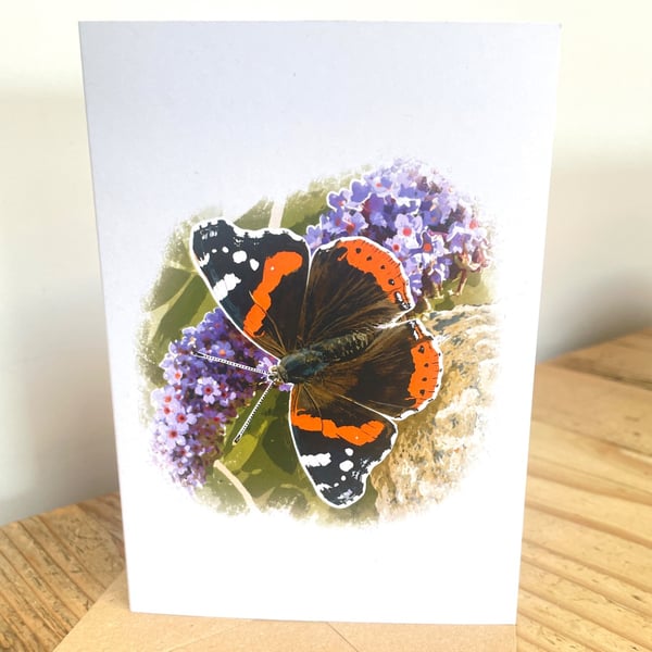 Blank Card A6 Portrait - Red Admiral