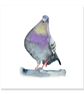 Fat Pigeon greeting card (blank) - Image 2