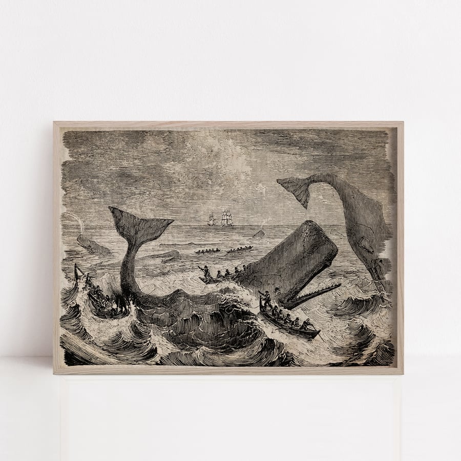 Whale etching print on old paper texture