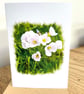 Blank Card A6 Portrait - Cuckoo Flower