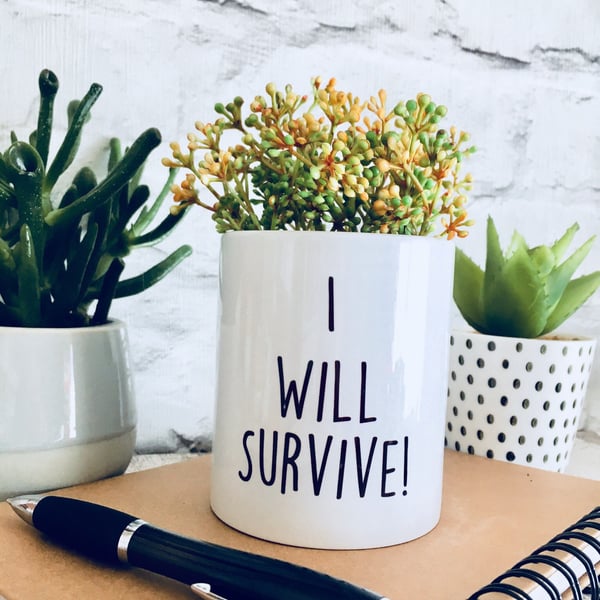 Plant pot, planter, cactus pot, christmas gift, gift for women, funny plant pot,