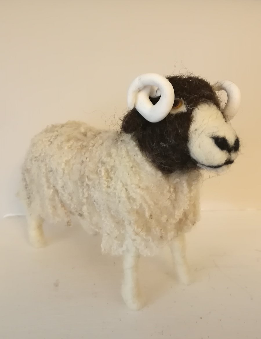 Needle felted wool sculpture collectable OOAK swaledale sheep 